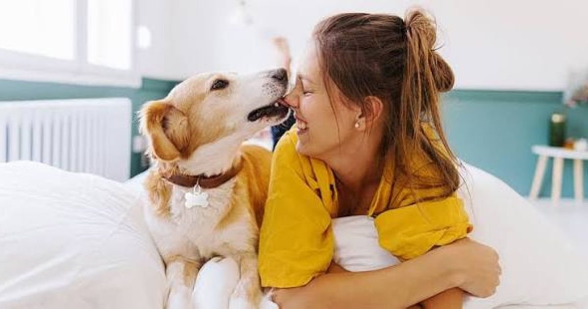 ASPCA pet insurance