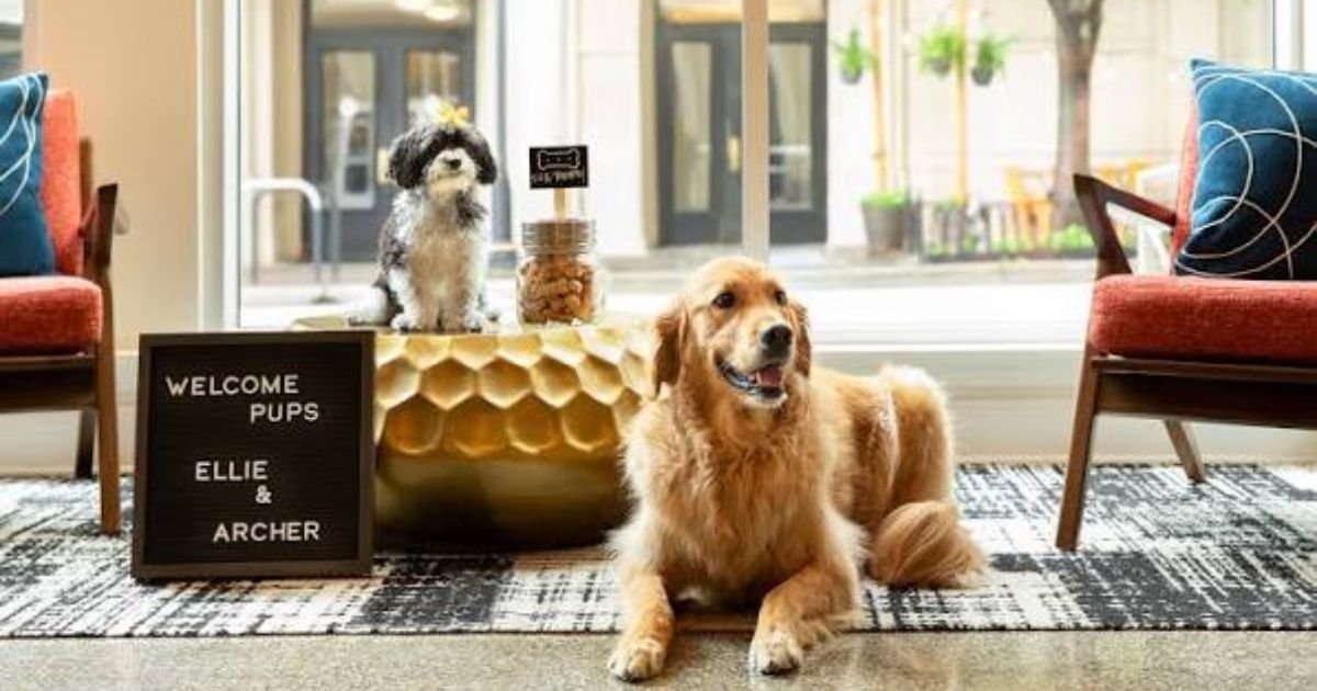 Pet Friendly Hotels