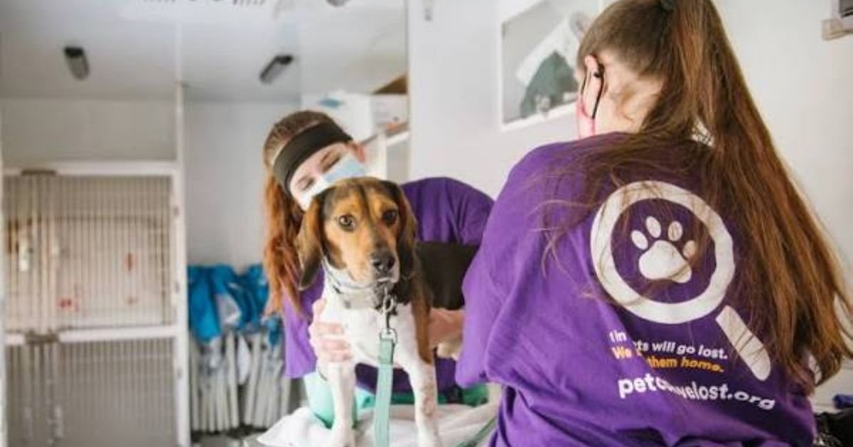 Pet Vaccination Clinic