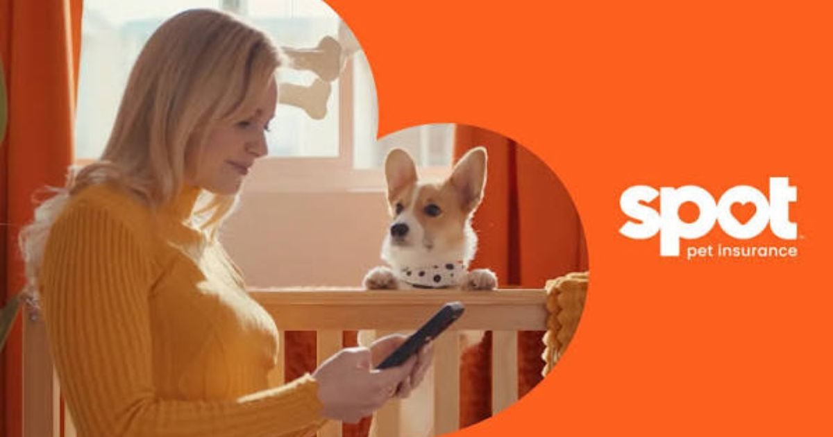 Spot Pet Insurance Login