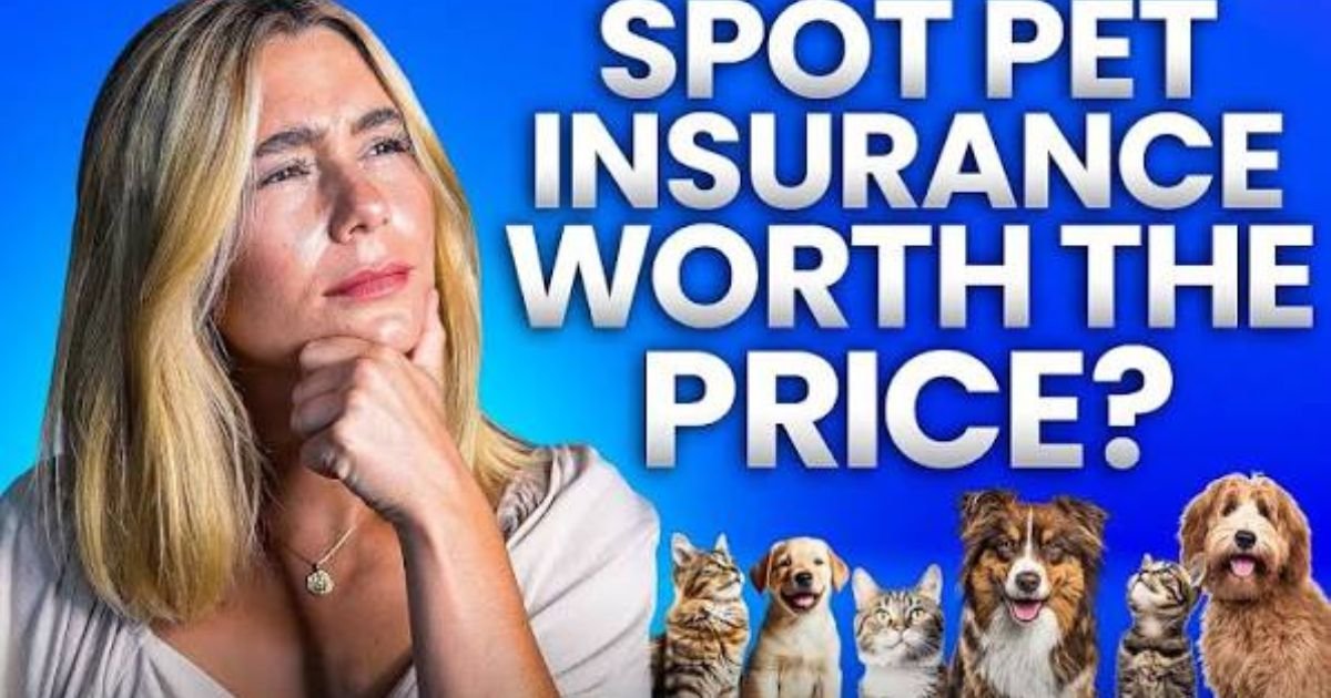 spot pet insurance
